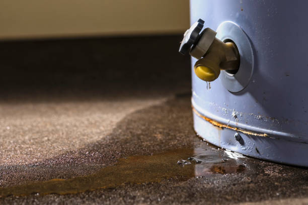 Best Mold removal after water damage  in Rupert, ID