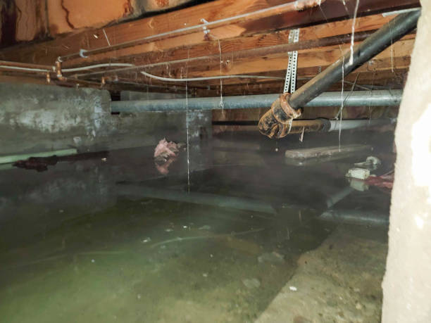 Best Water damage restoration near me  in Rupert, ID