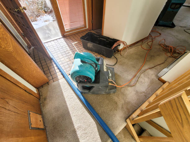  Rupert, ID Water damage restoration Pros