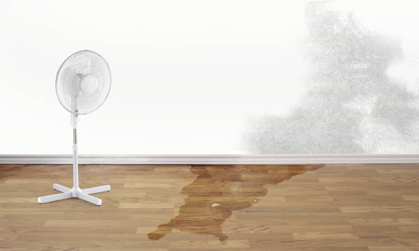 Best Water damage restoration near me  in Rupert, ID