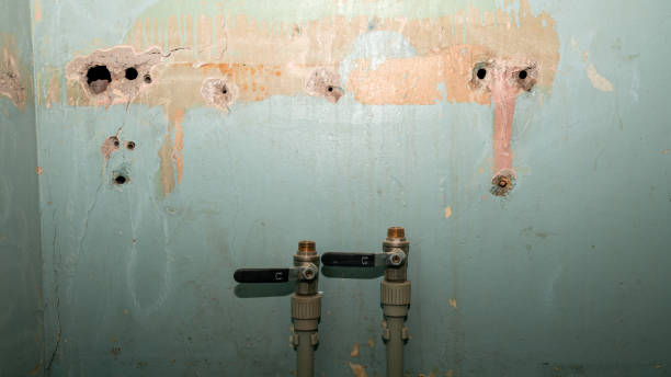 Carpet water damage restoration in Rupert, ID