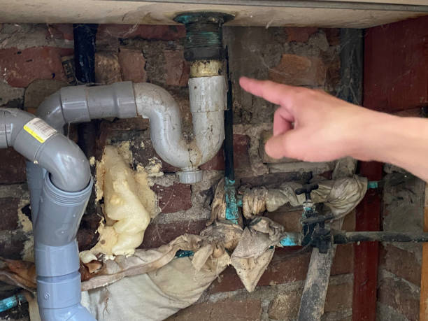 Best Carpet water damage restoration  in Rupert, ID