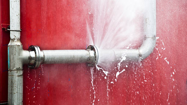 Best Professional water damage repair  in Rupert, ID